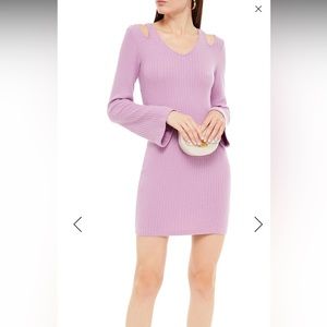 Enza costa cutout ribbed modal- blend mini dress